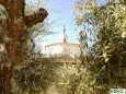 La Ermita entre los olivos  en Cilleros, Sierra de Gata